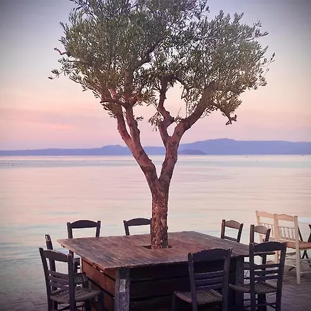 Holiday home Epos & Luxury