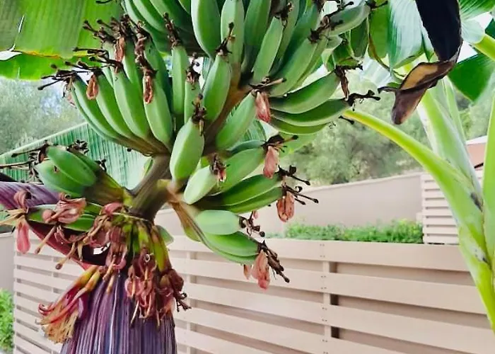 Tatil Evi Epos & Luxury Paliouri