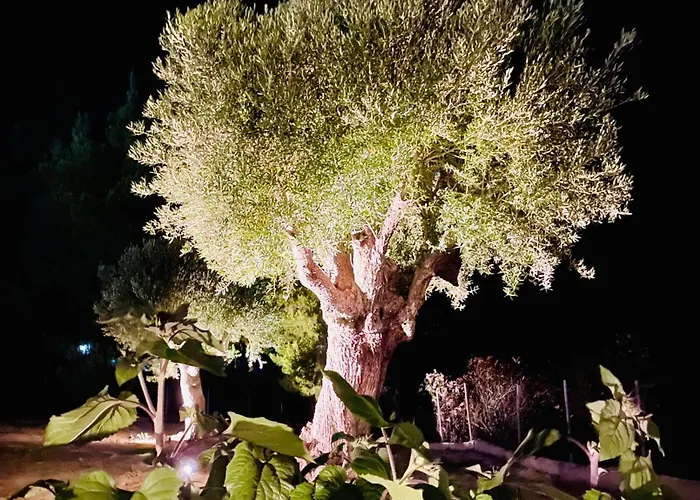 Epos & Luxury Paliouri