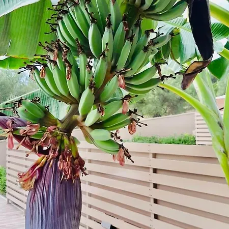 Prázdninový dům Epos & Luxury Paliouri